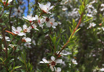 Skin Health Through The Seasons