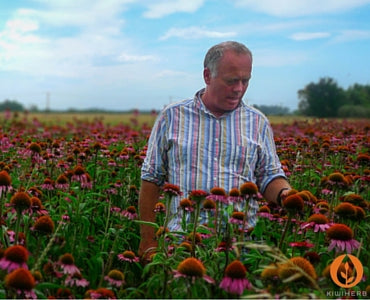 Growing Medicinal Herbs: an Interview