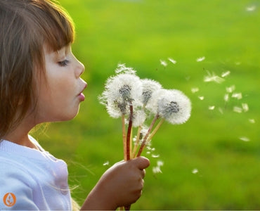 Tips & Hints for Easing Spring Hayfever