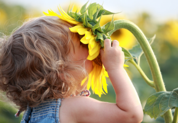 How to shake off blocked and stuffy noses